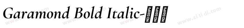 Garamond Bold Italic字体转换